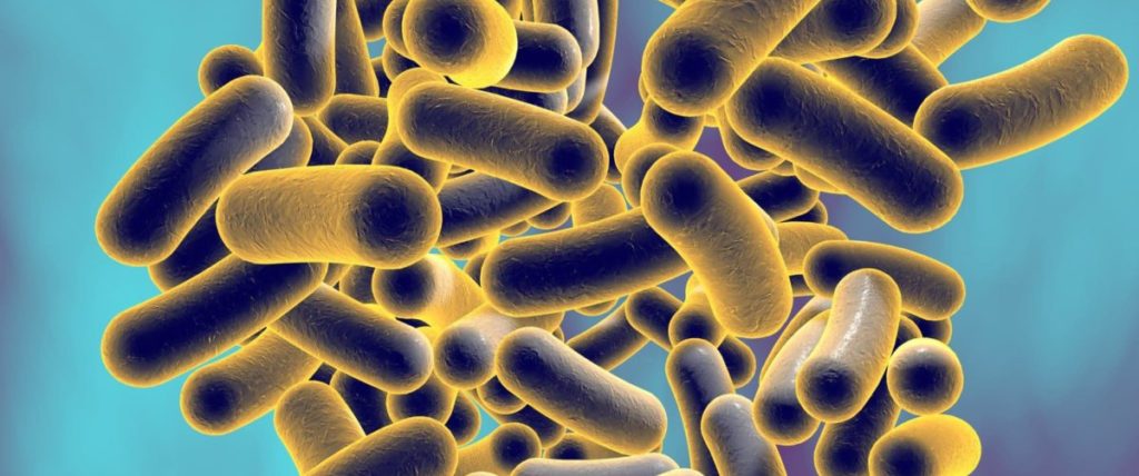 Lebensmittelvergiftung durch Clostridium perfringens medaVital